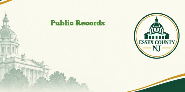 Public Records
